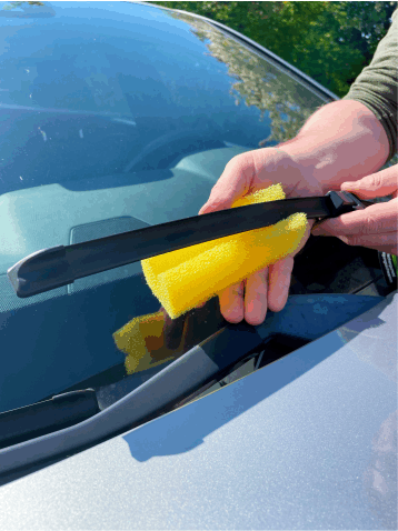 Reinigungsschwamm f�r Winschergummis